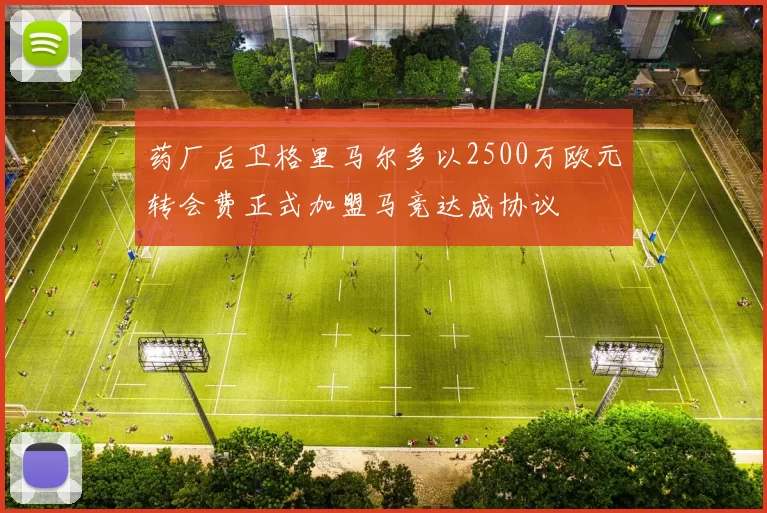 药厂后卫格里马尔多以2500万欧元转会费正式加盟马竞达成协议