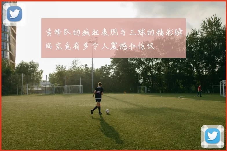 黄蜂队的疯狂表现与三球的精彩瞬间究竟有多令人震撼和惊叹